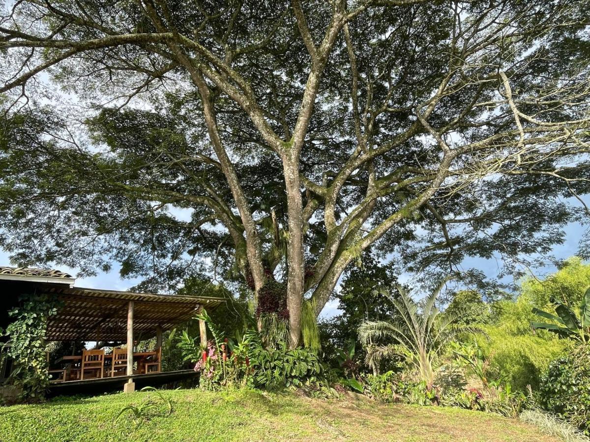 Muchosur Quimbaya Exterior foto