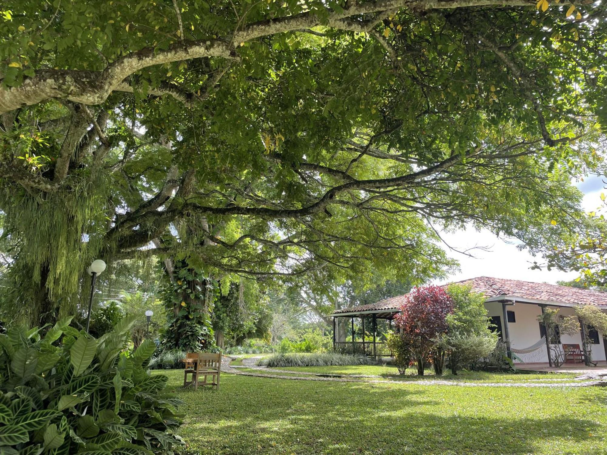 Muchosur Quimbaya Exterior foto